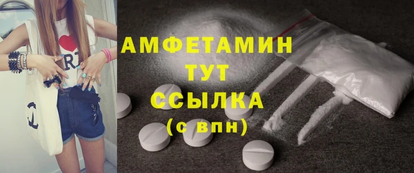 скорость Вяземский