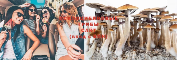 скорость Вяземский