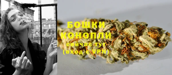 скорость Вяземский